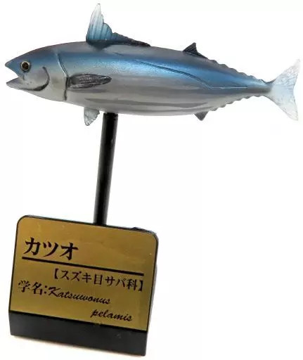 Collectible Bonito Primary Color Saltwater Fish Encyclopedia III Collectible Fig