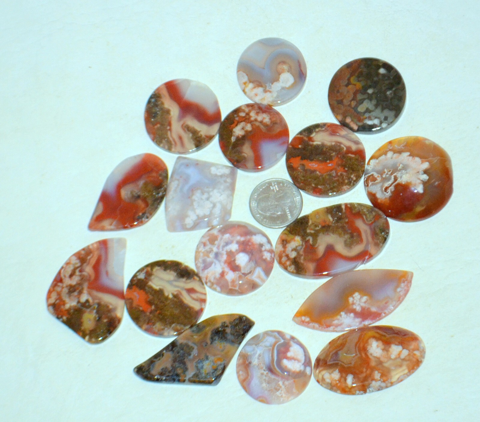 16 PCS LOT Plume Moss Agate cabochons from Argentina * Bulk Wholesale very rare