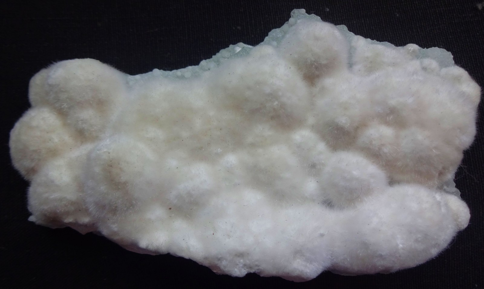 AWESOME RARE OKENITE BALLS ON PREHENITE MATRIX PLATE MINERALS SPECIMENS