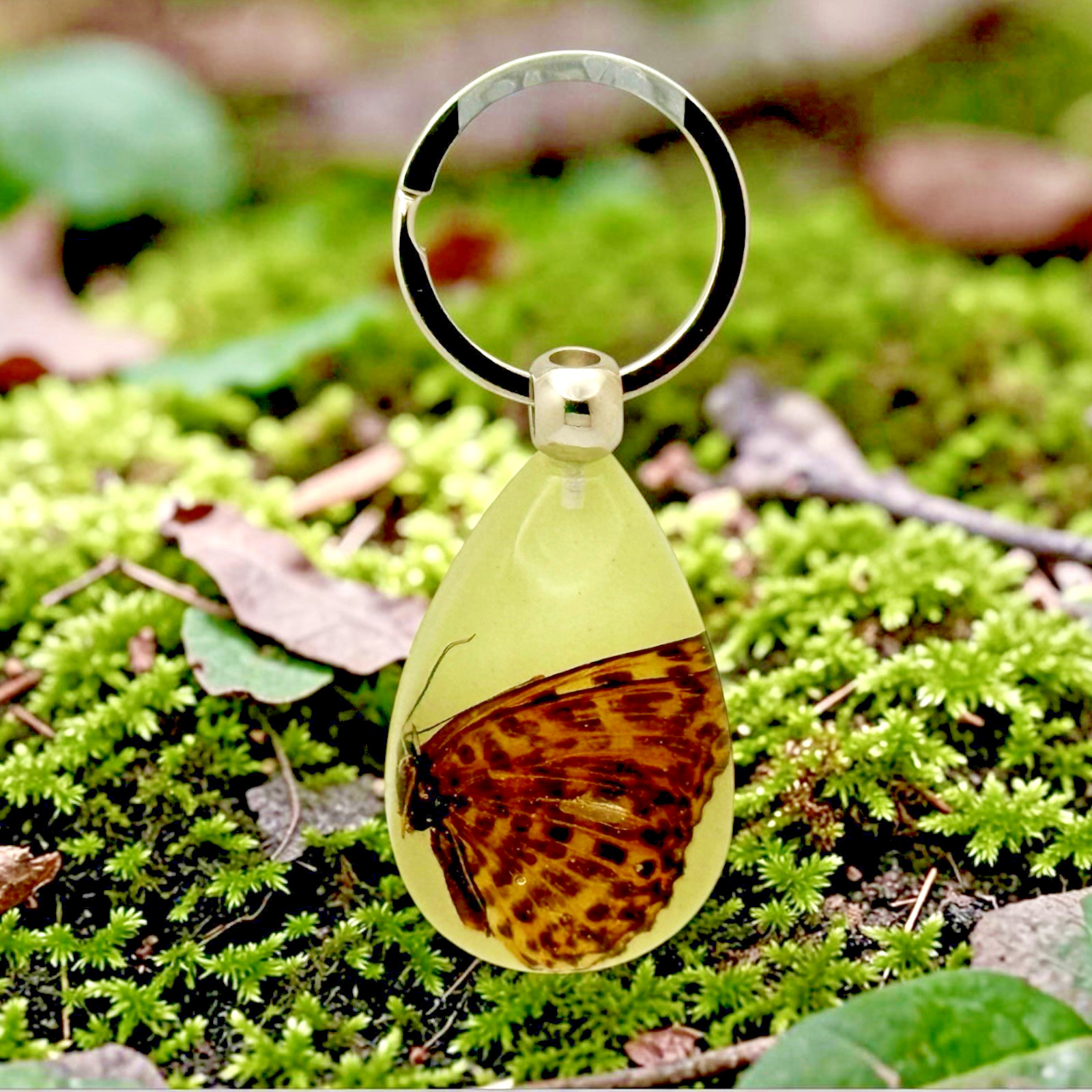 Handmade Real Brown Butterfly in Glow in the Dark Resin