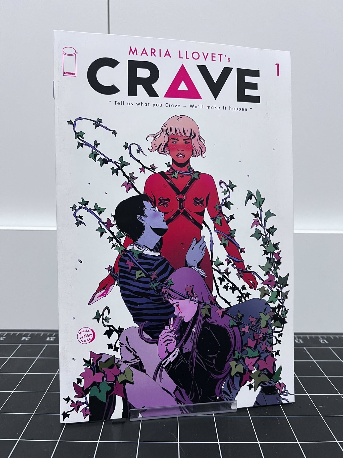 Maria Llovet\'s Crave (2023) 1 2 3 4 5 6 Variants | Image Comics | COVER SELECT