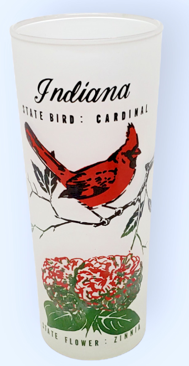 VTG Indiana State Bird Flower Map Frosted Tall Tom Collins Souvenir Glass(es)