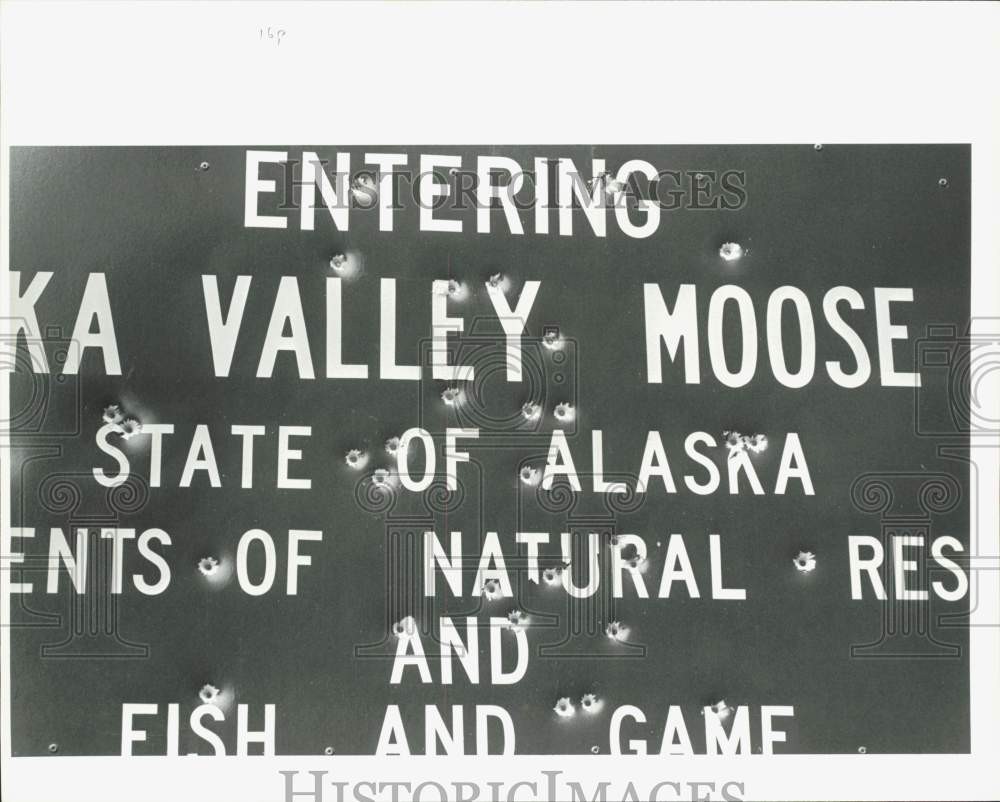 1987 Press Photo Sign with Bullet Holes Near Buffalo Mine Road, Glen Highway