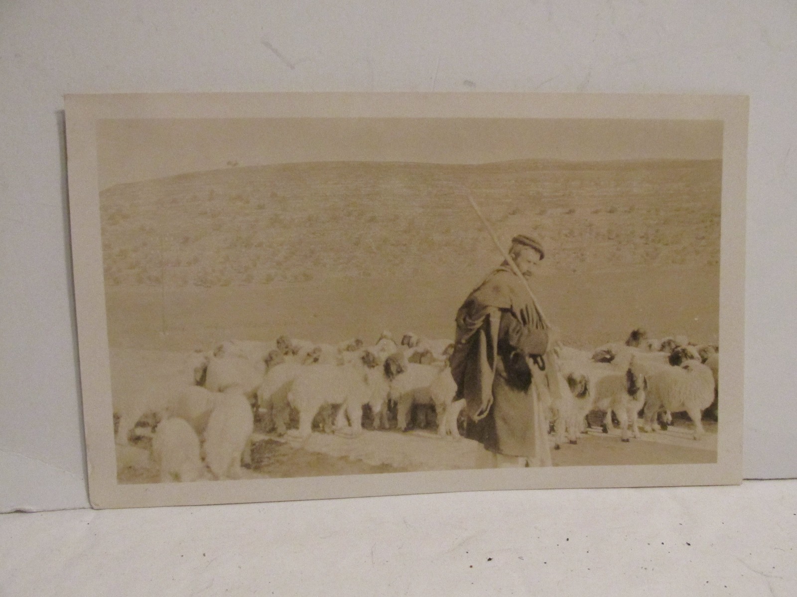 VINTAGE FOUND PHOTOGRAPH B&W OLD PHOTO 1920S JERUSALEM PALESTINE SHEPHERD SHEEP