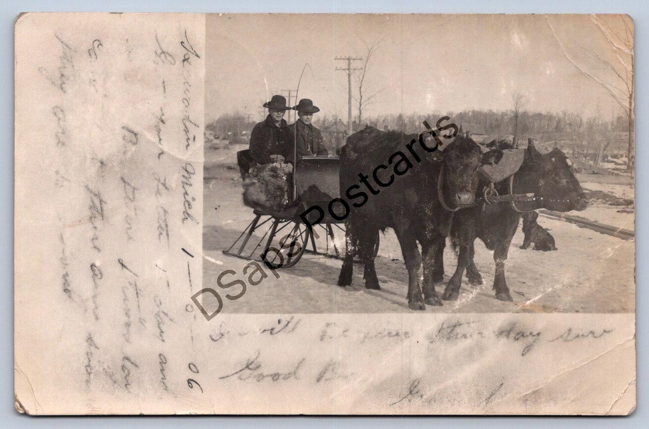 K61/ Kewadin Michigan RPPC Postcard c1910 Cattle-Drawn Snow Sleigh 183