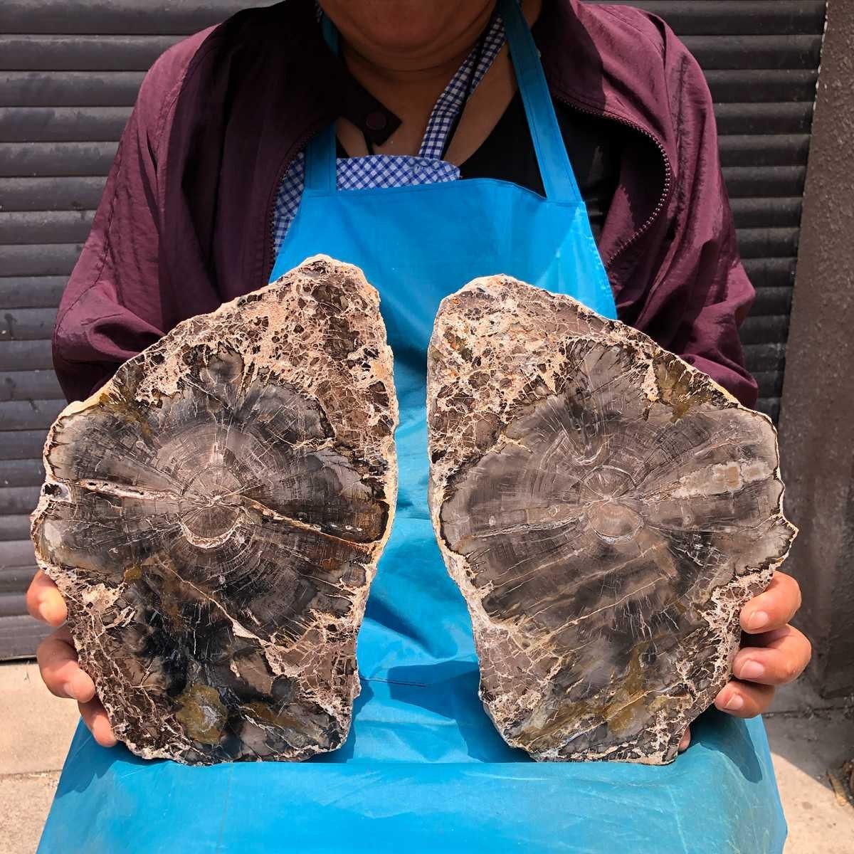 2pcs 6.57 LB Natural Petrified Wood Crystal Fossil Slice Crystal Specimen 6186