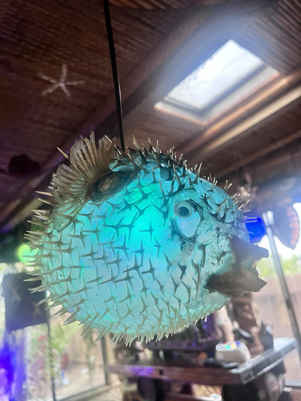 NEW 9”-10” Pufferfish Lamp w/Color Changing LED Tiki bar Oceanic