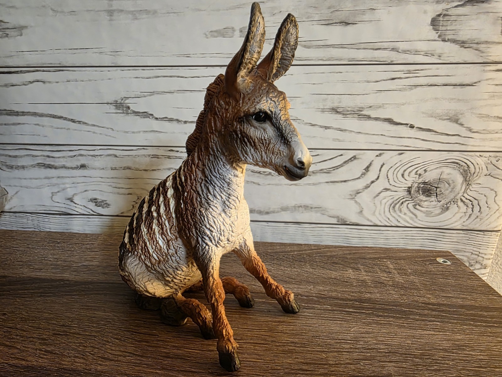Breyer Dryandra Wild Animal Series 2026 Brighty Donkey