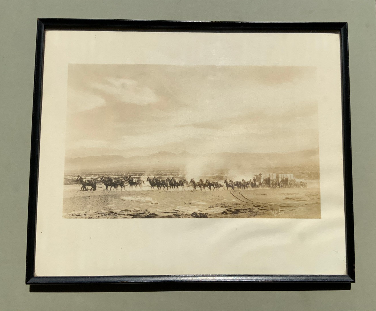 VTG 1933 Photo By Stephan Willard 20 Mule Team Death Valley Borax - Western