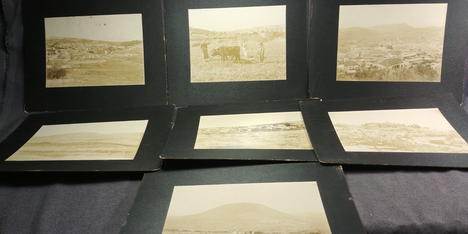 1890 Israel Nazareth Tent City Cattle Nain Nein Mt Tabor Jesus Antique Photo 6x8