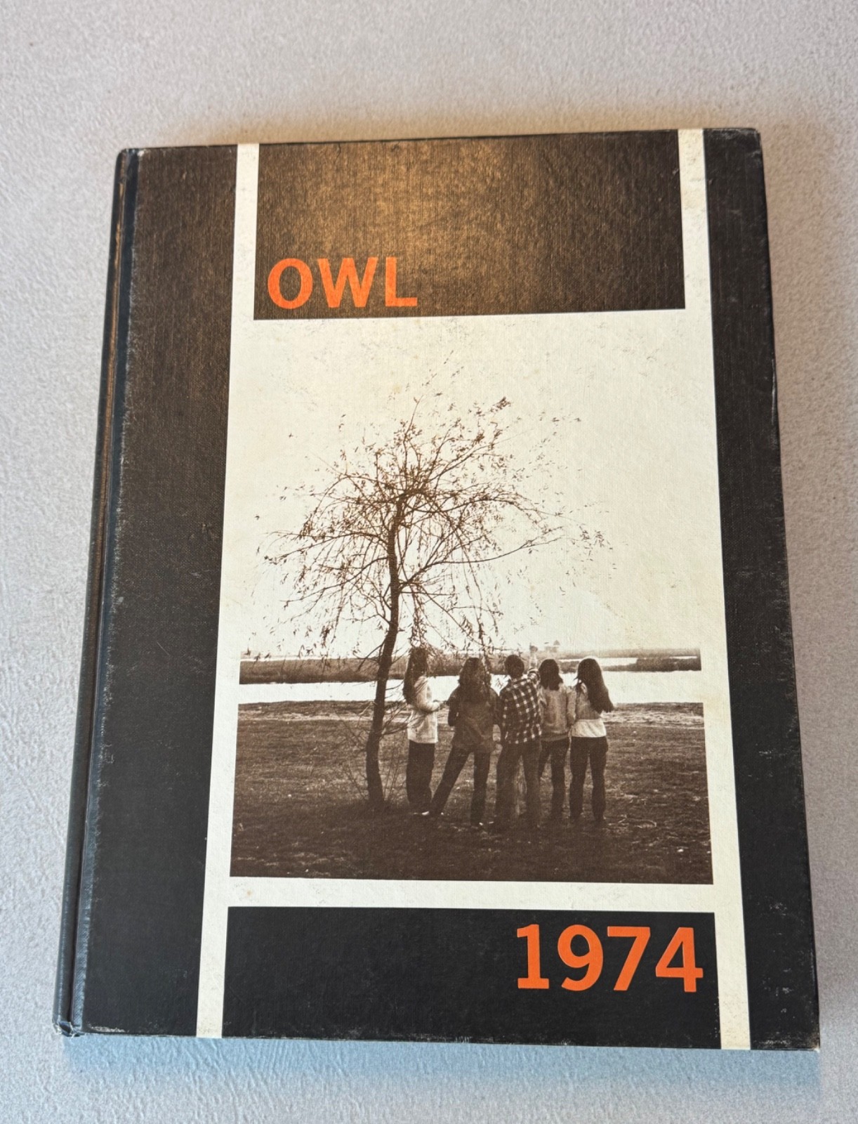 1974 Lynbrook Senior High School Yearbook, Lynbrook NY, \