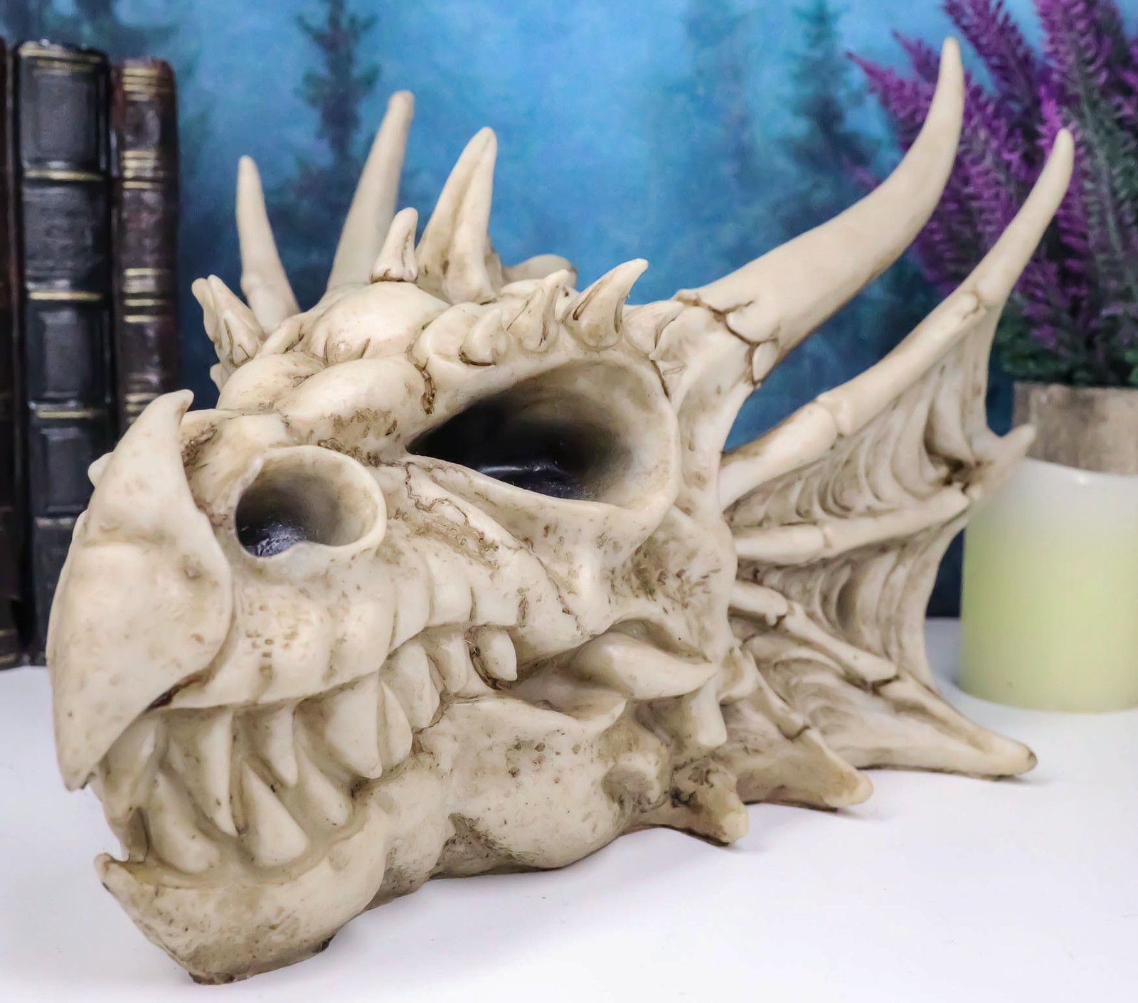 Ebros Elder Jurassic Dragon Head Skull Realistic Fossil Statue 9