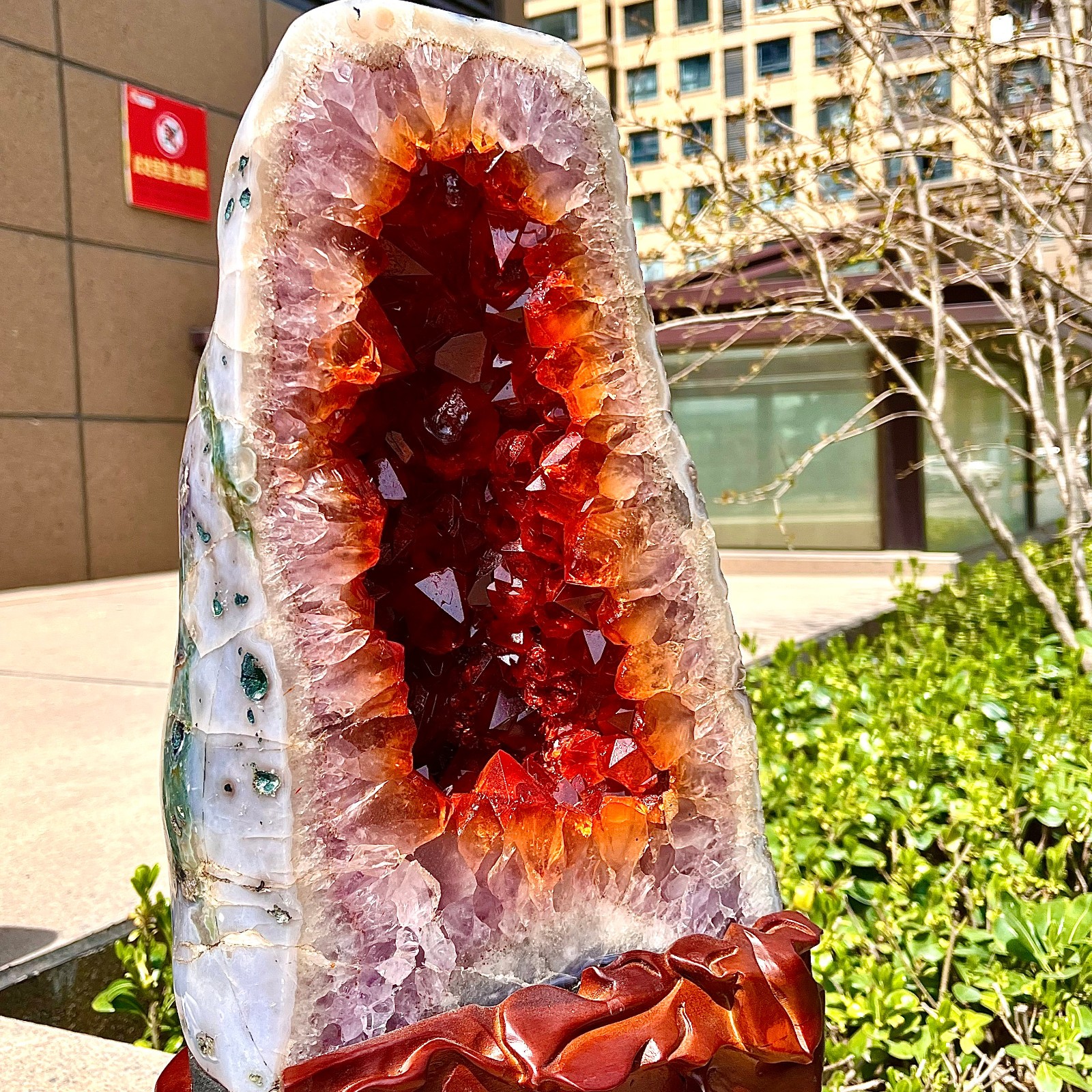 27.91LB  Natural yellow crystal cave quartz crystal spiritual decoration