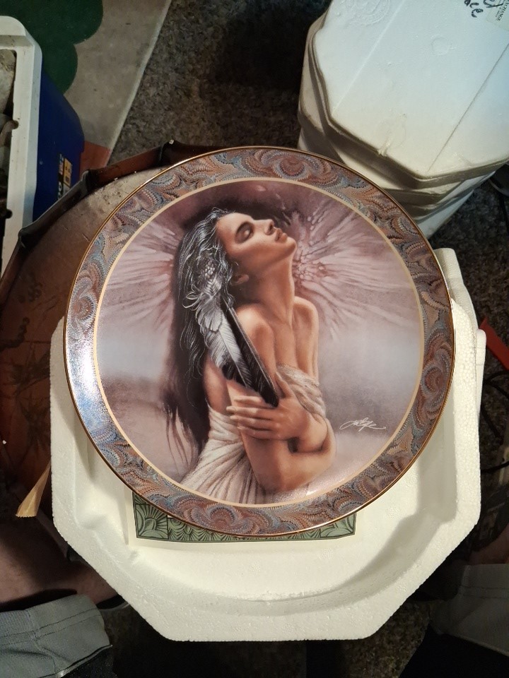 Afterglow Native Beauty Bradex Limited Edition Collector Plate ~