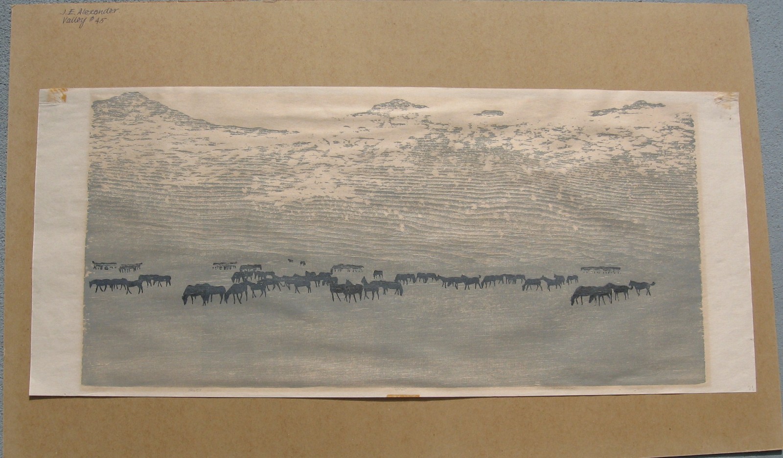 John E. Alexander Etching Signed Numbered- Valley #45, no. 21 of 25, 24