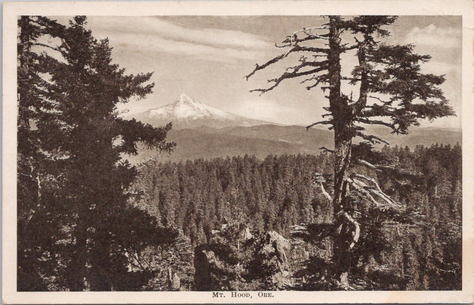 Lithograph ** Mt. Hood Oregon Panoramic View early 1900s