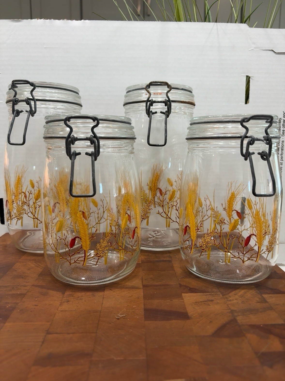 Vintage ARC France Glass Canister Set 1L 1.5L Wheat Floral Clamp Lid Jars