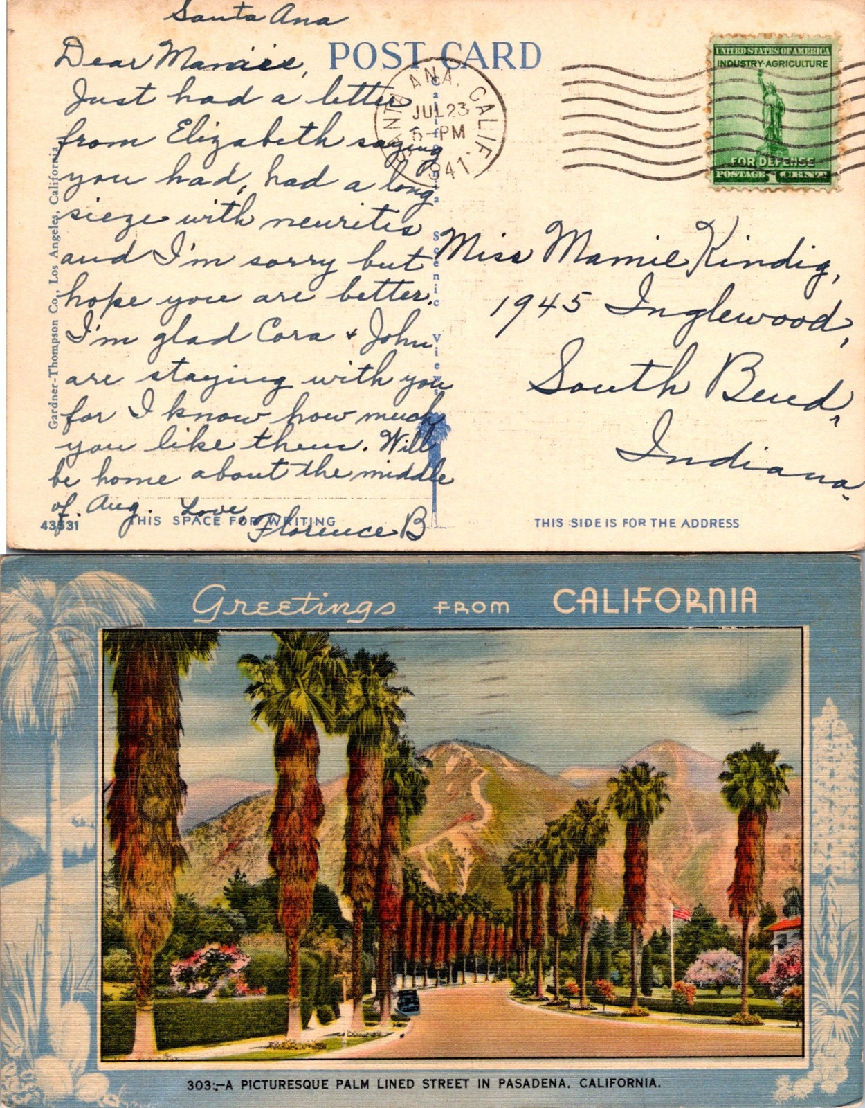 Vintage California Palm Lined Street Pasadena CA Postcard Used 50943