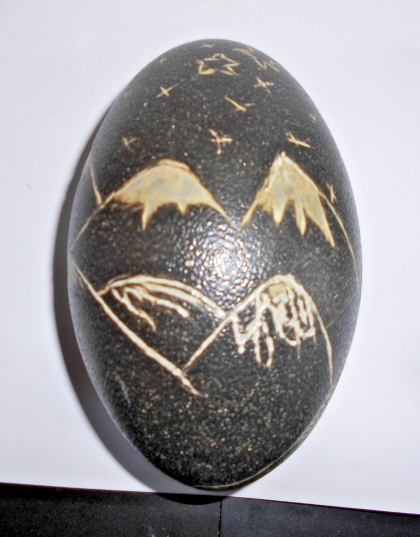 Vintage Hand-Carved Emu Egg Art -MOUNTAINS & FLOWERS - Etched Scrimshaw Style
