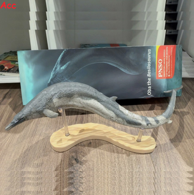 50cm PNSO Basilosaurus Prehistoric Marine Mammal Model Toy PVC Animal Model Gift