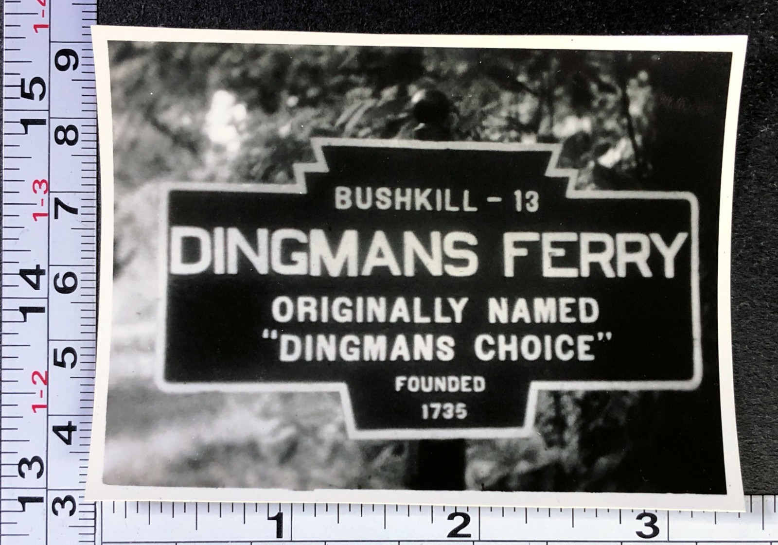 Dingmans Ferry PA Pike County Welcome Town Sign Vintage BW Photo Snapshot