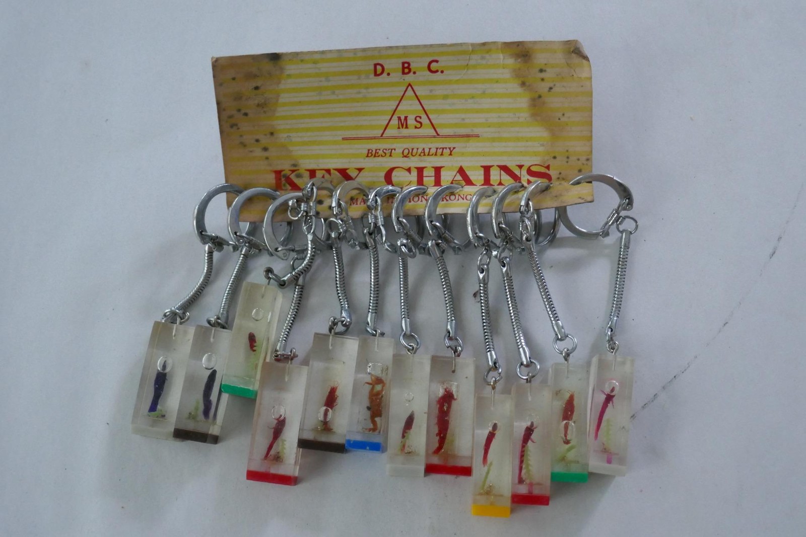 12 Vintage Keychains Fish in Lucite