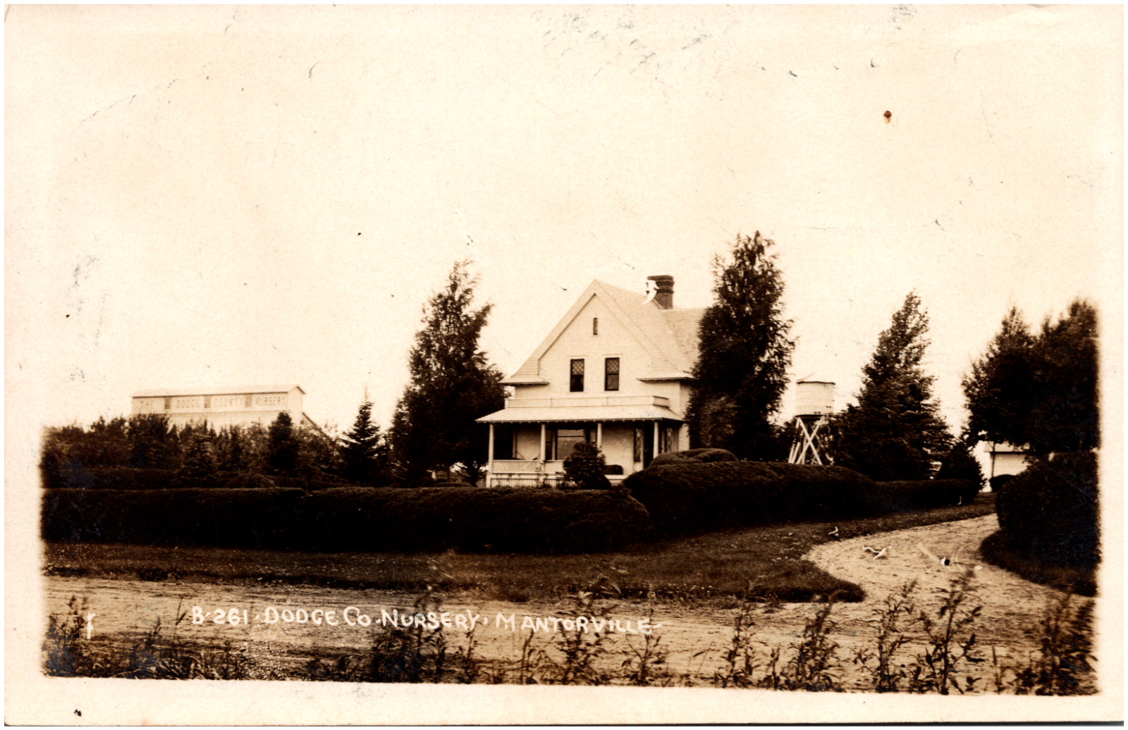 Dodge County Nursery Mantorville Minnesota MN 1910 RPPC Postcard Photo
