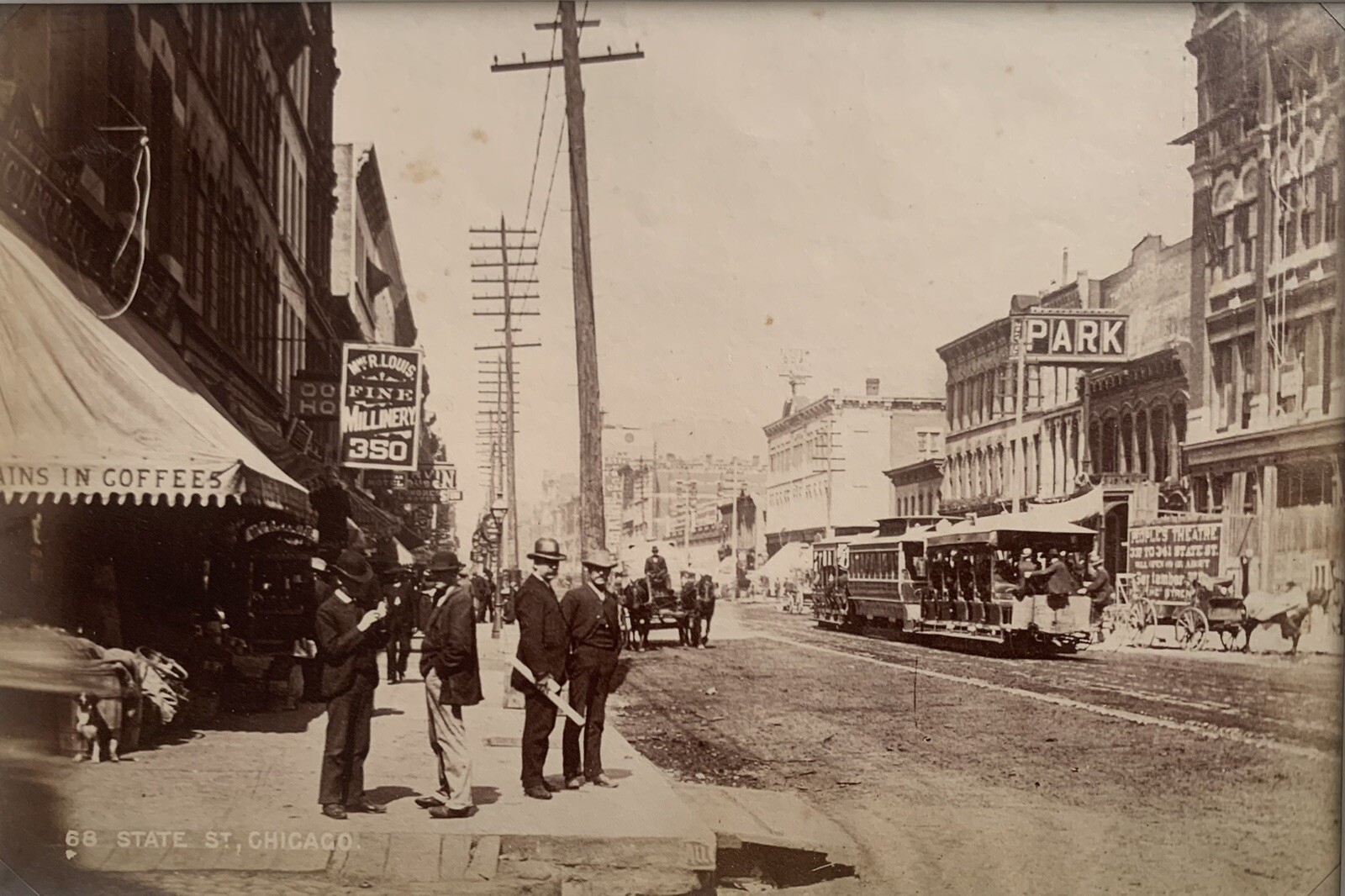 Original Albumen Sepia Print From 1890 East State Street Chicago