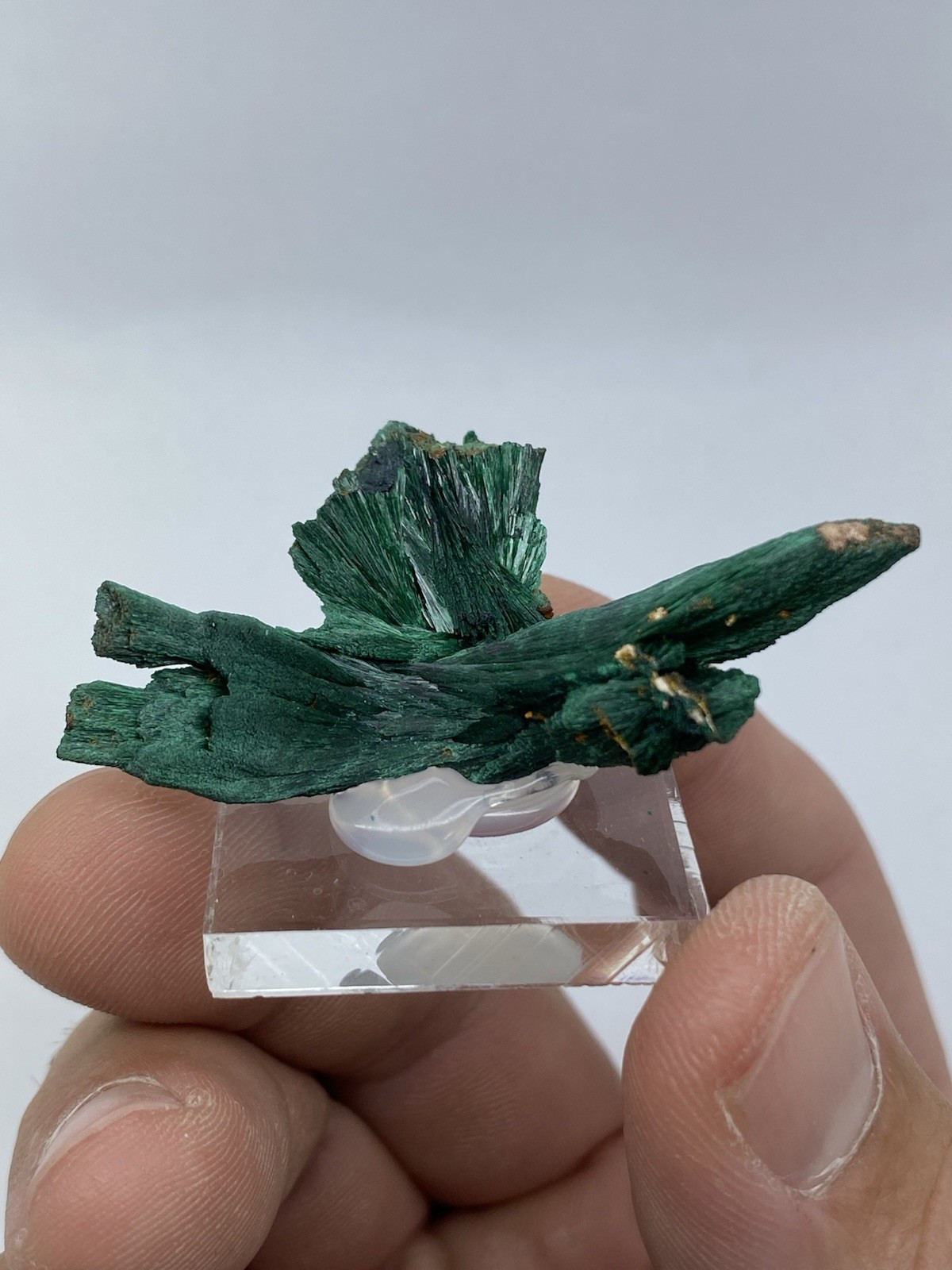 Fibrous Chatoyant Malachite Specimen - DRC - 
