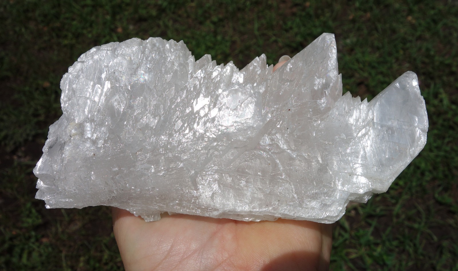 Awesome Large FISHTAIL SELENITE Natural Crystal Point from Naica Mexico For Sale