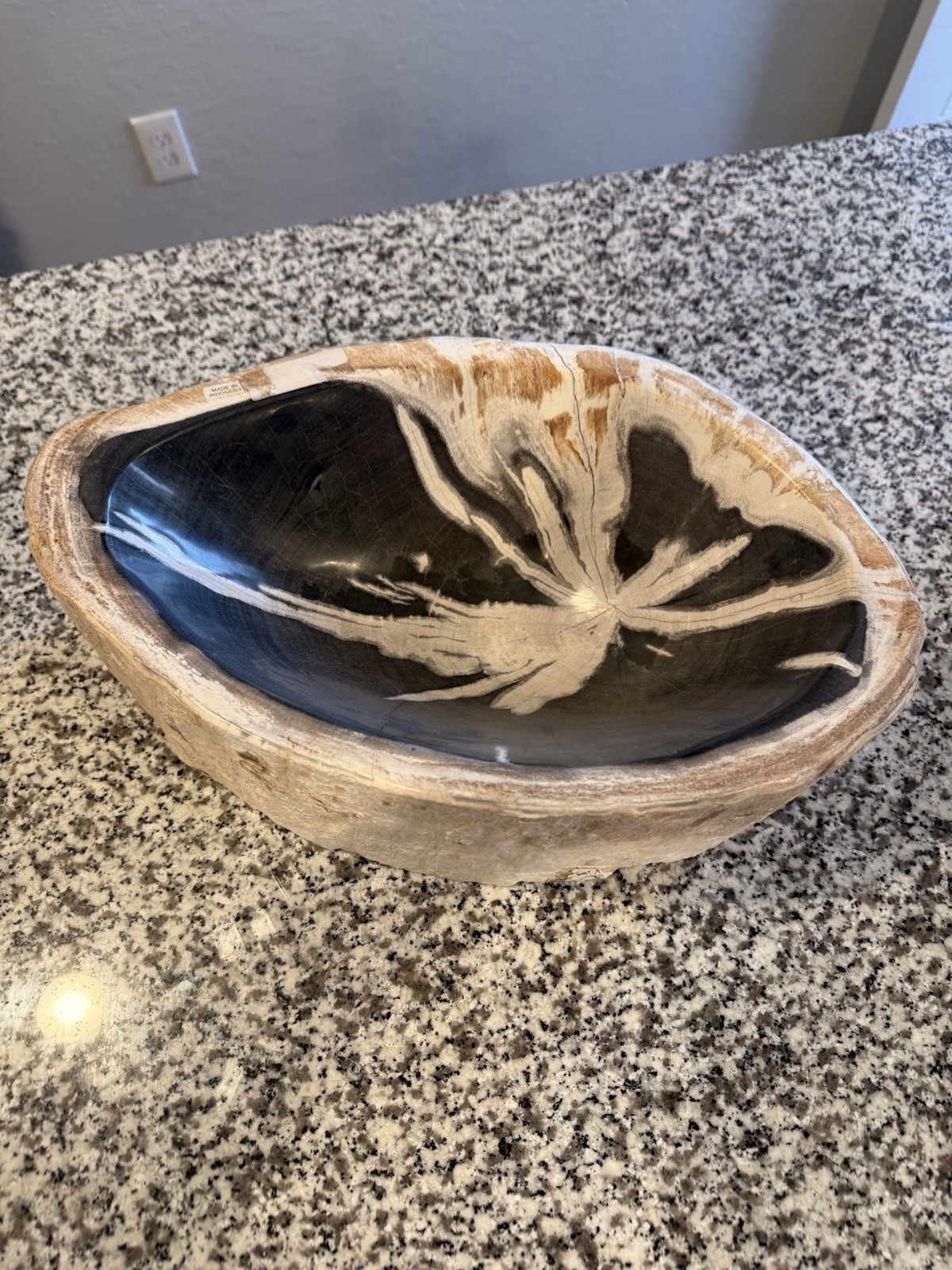 Petrified Wood 31 Lb Mineralized Fossil Luxury Decor