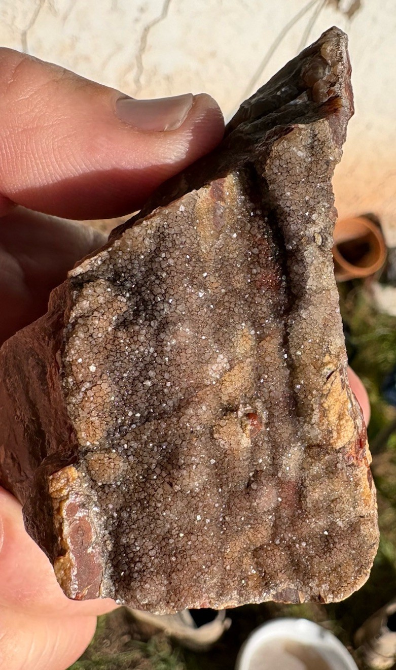 ☘️RR⛏️: Druzy Quartz On Arizona Petrified Wood, 13.4 Oz. 🌈