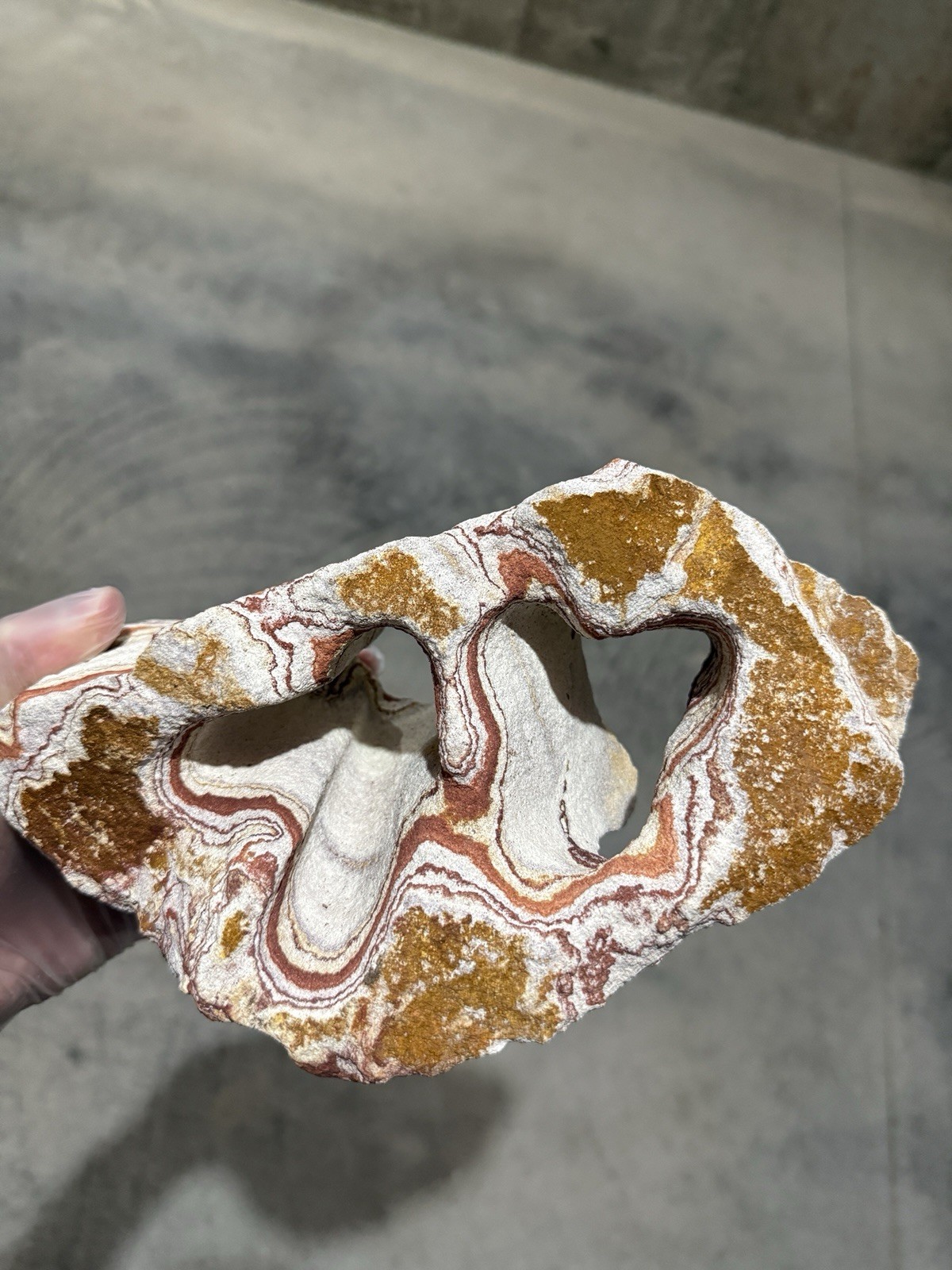LARGE 5 LB Natural Gobi Desert Rock Stone Minerals Specimen 6\
