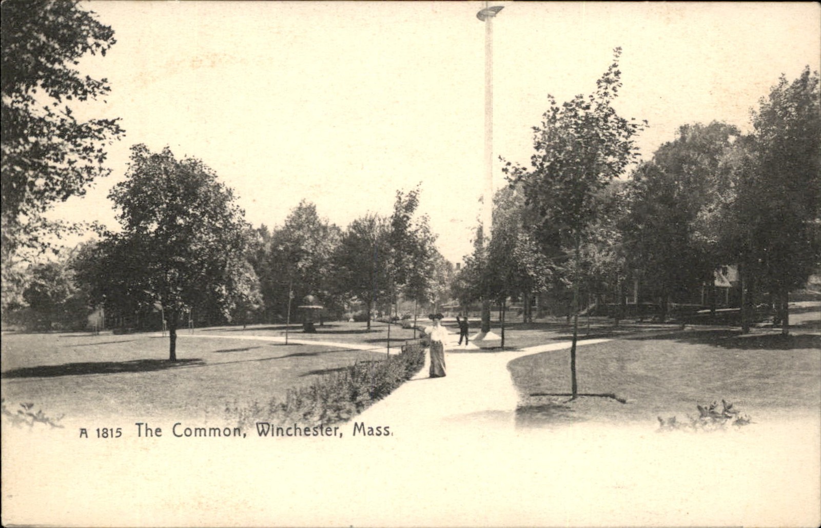 Winchester MA The Common The Rotograph Co. c1900s-10s Vintage Postcard