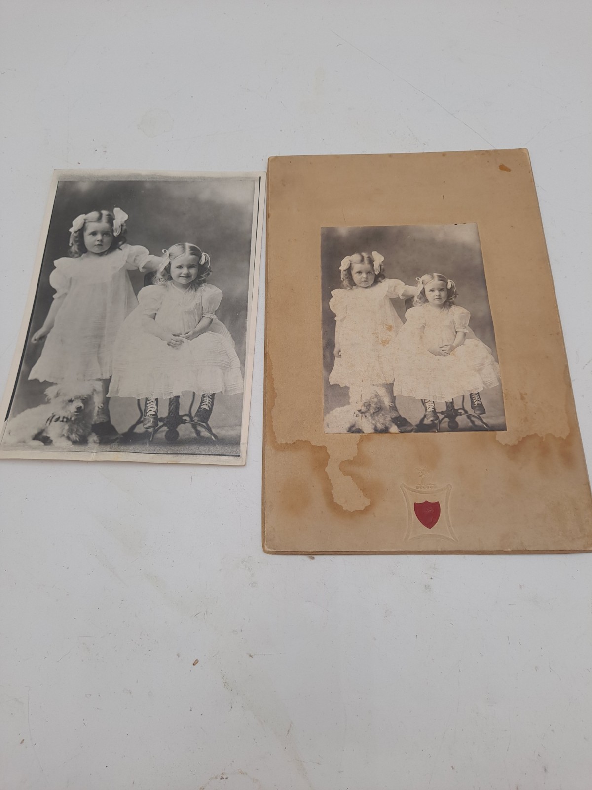 Antique 1900s Photo 2 Little Girls Sisters w Dog Identified Simmons Family