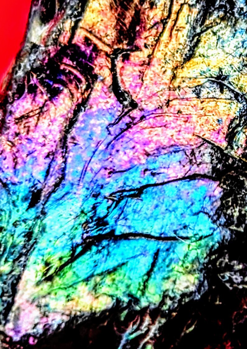 Magic Stone 🌈 Rainbow Bornite, Chalcopyrite  found in New York 