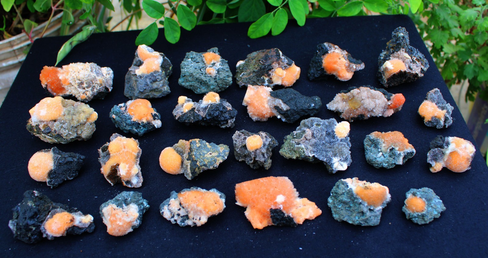 MIX LOT OF THOMSONITE ( 25 NOS ) MINERALS SPECIMEN