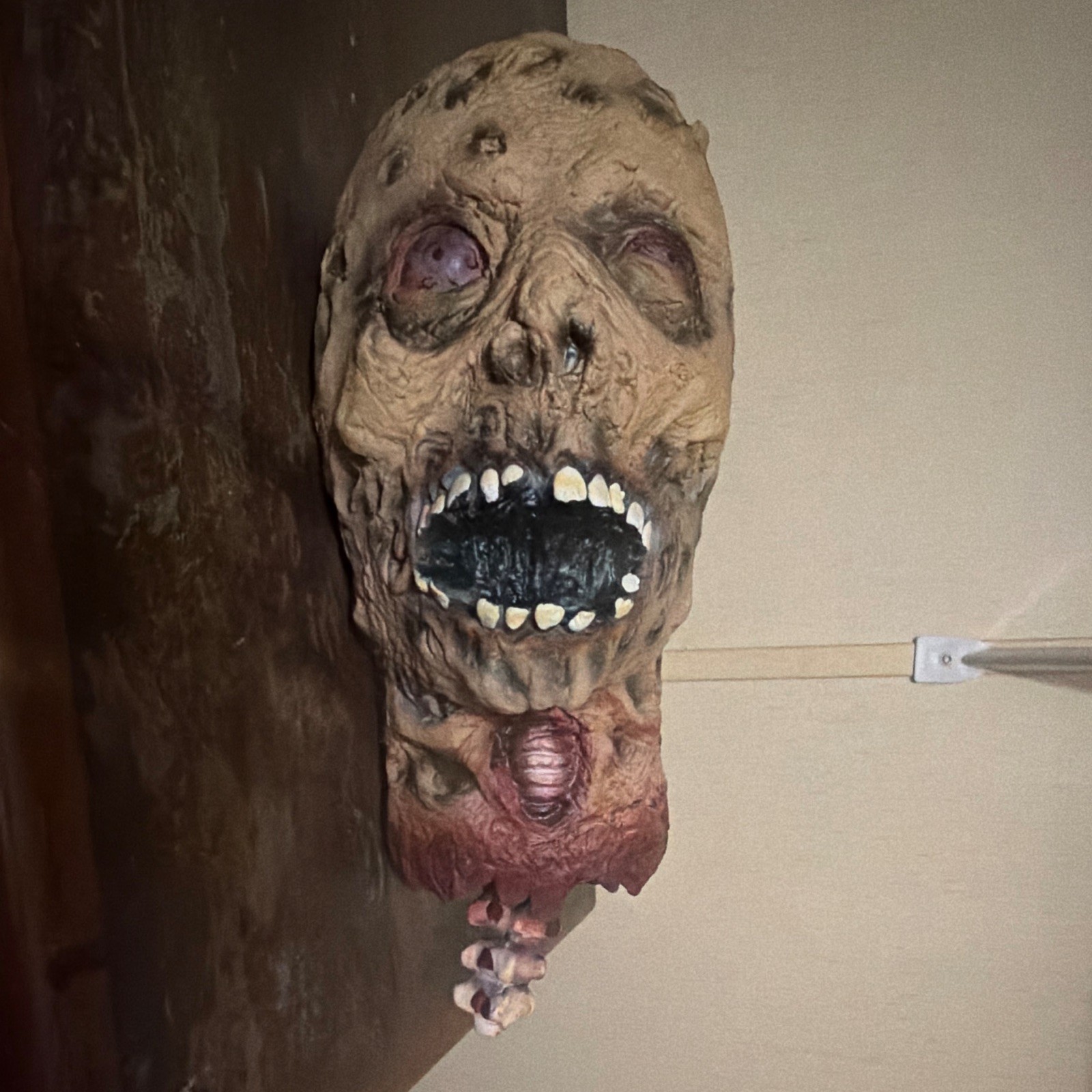 Life Size Zombie Severed Head Prop Halloween Haunted 🏠 Walking Dead Gory 13.5\