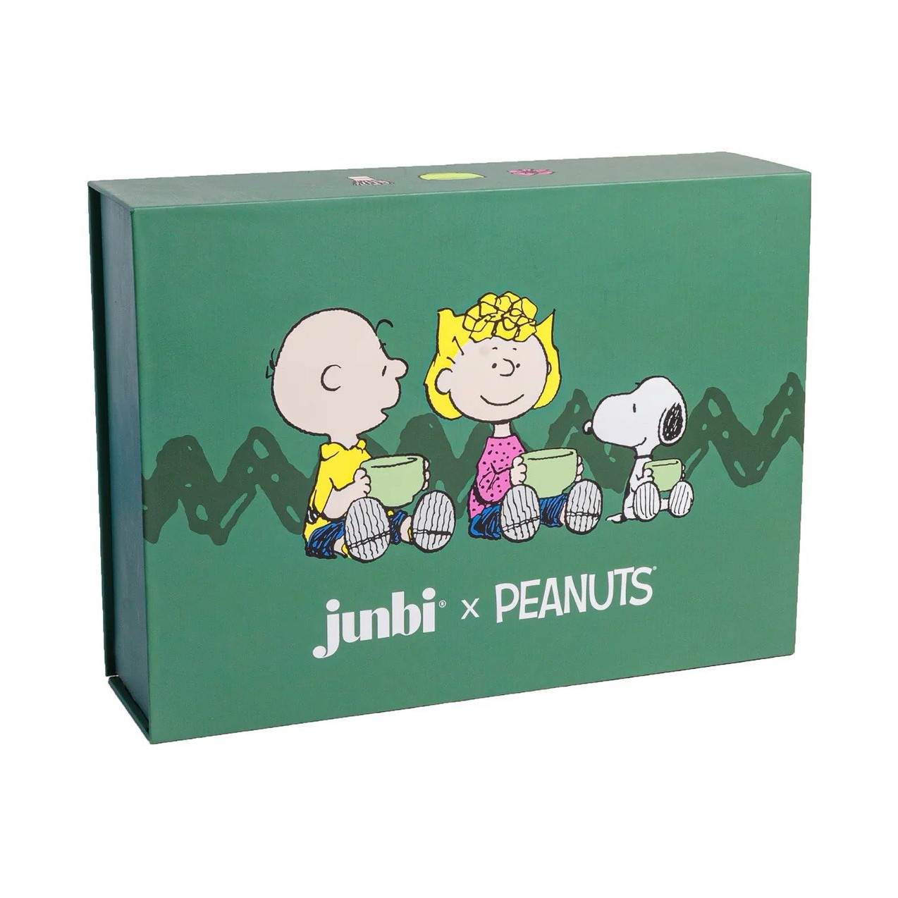 Junbi x Peanuts Matcha Set Snoopy Charlie Brown Woodstock Bowl Whisk Strainer