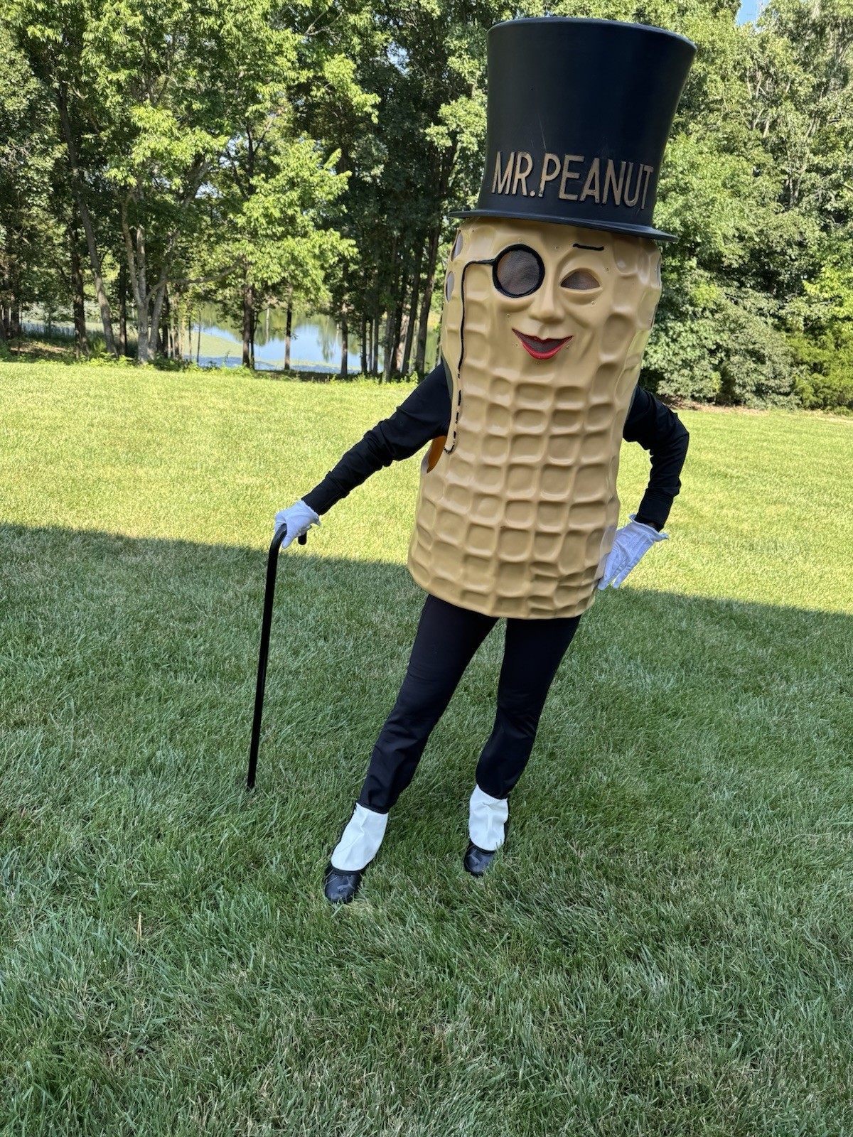 Vintage 1960s Planters Mr. Peanut Advertising Mascot Costume Display w/ Cane