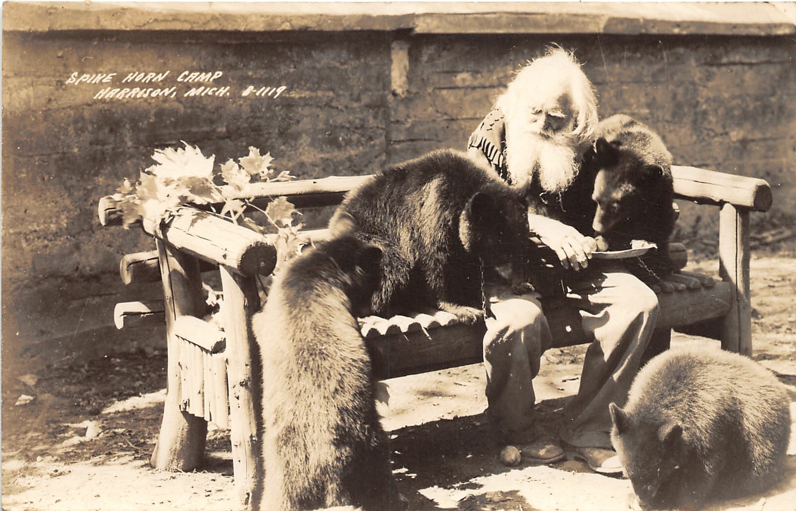 H32/ Harrison Michigan RPPC Postcard c40s Spikehorn Black Bear Den Feed 19