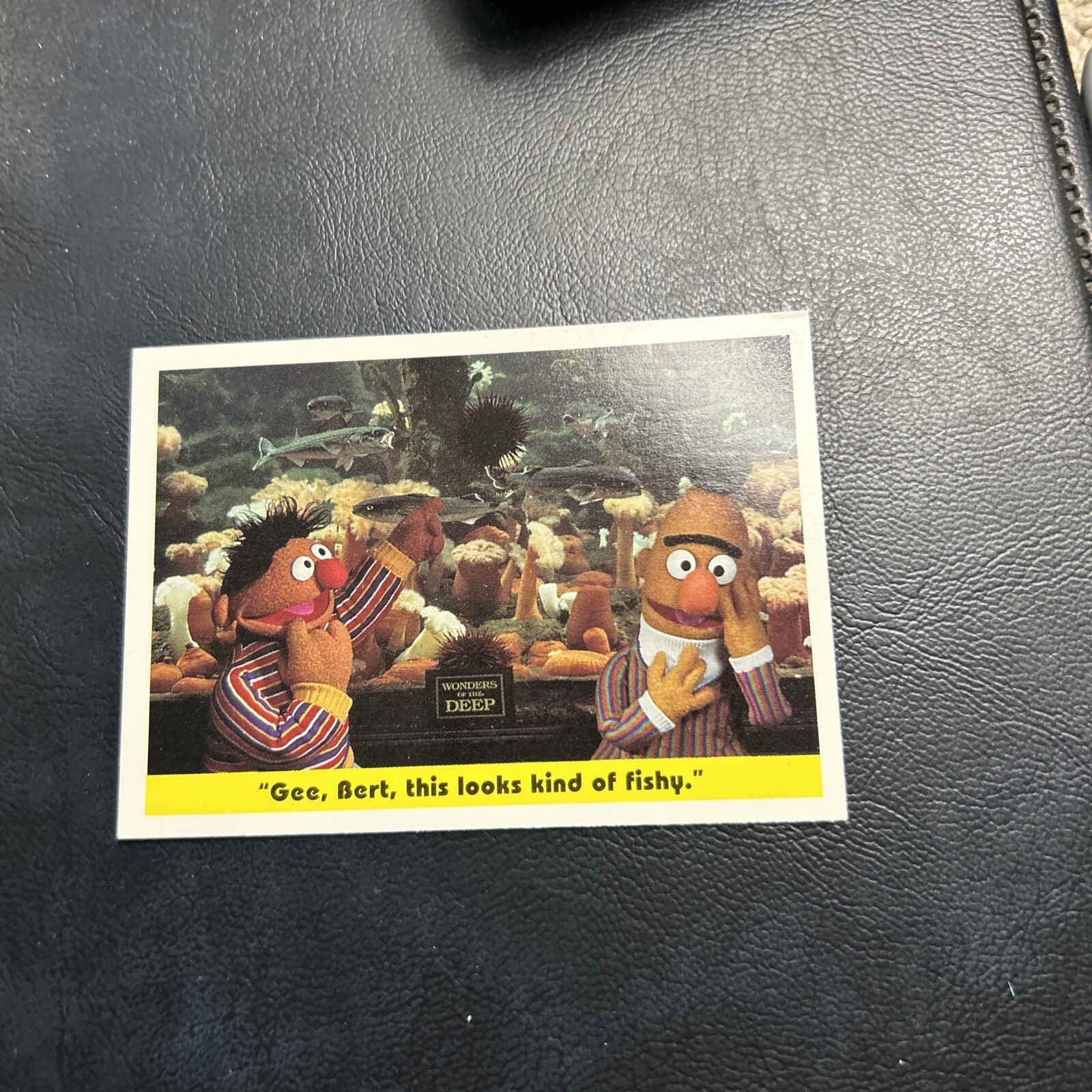 B22s Sesame Street 1992 Ctw #49 Bert And Ernie At Aquarium