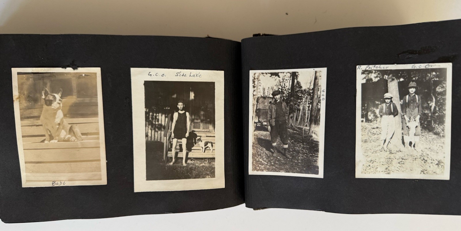 Vintage Photo Album 1910s Hibbing Minnesota Boston Terriers 125+ Americana  A18