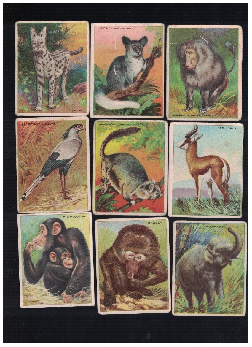 Lot of 9 1910 T29 Animal Series Tobacco Cards LLW