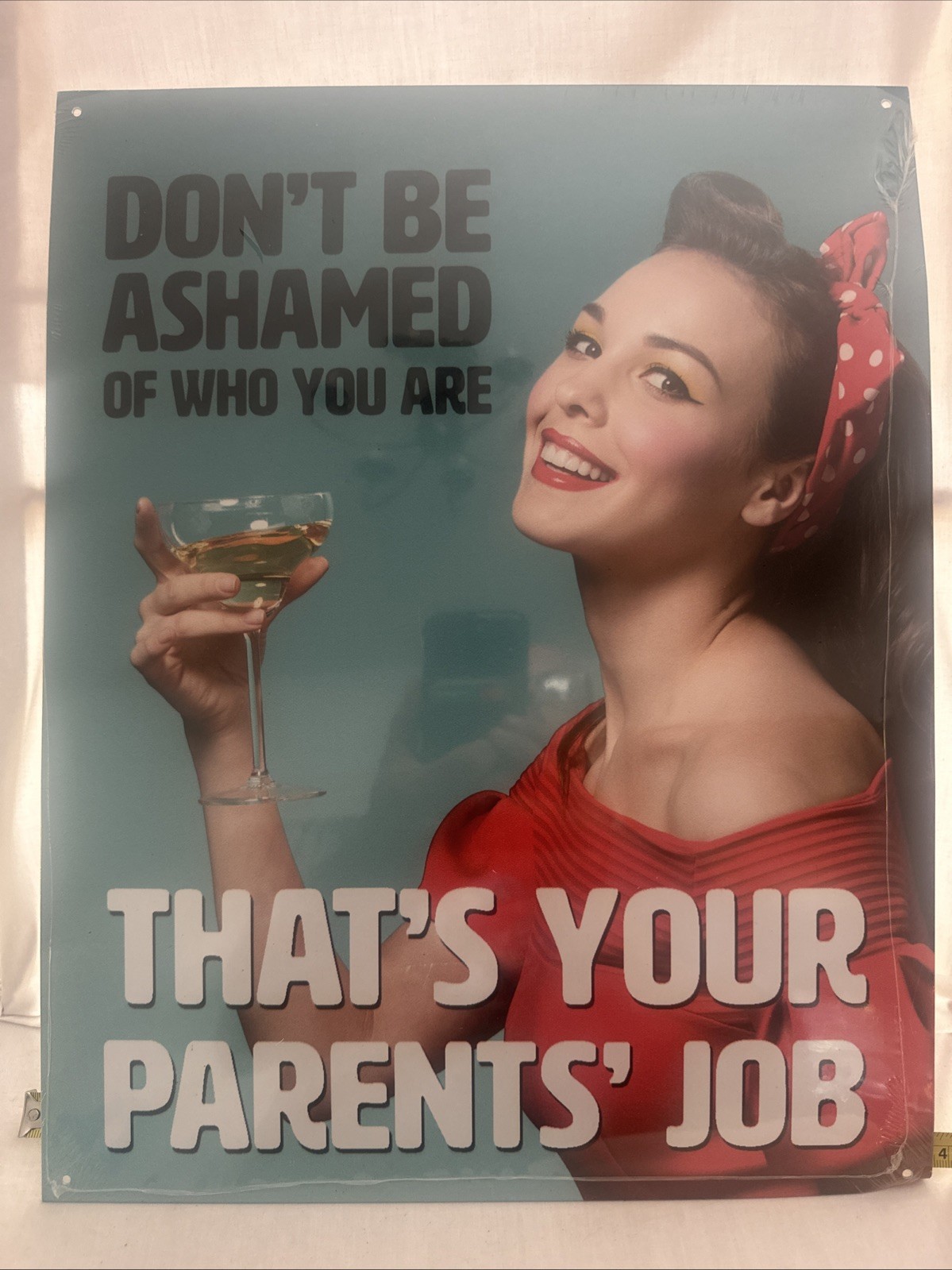Don\'t Be Ashamed thats your parents job Tin Sign Ephemera  12.5 x 16 Made in USA