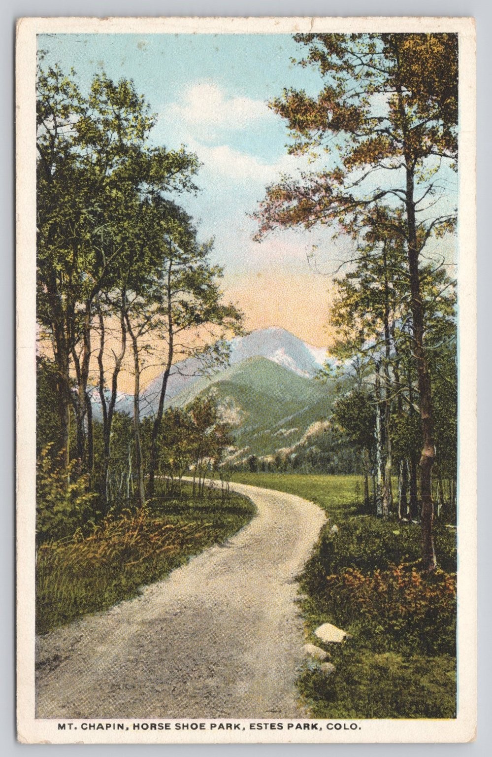 Vintage MT. CHAPIN Horseshoe Park Estes Park CO Rocky Mountain Postcard