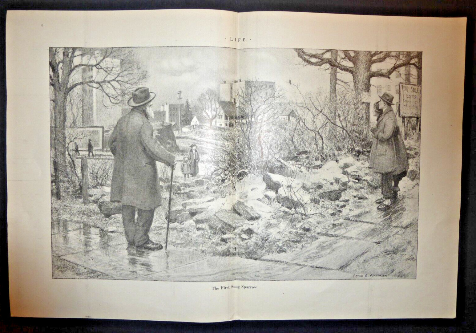 1923 LIFE Magazine VTG Print-Ad The First Song Sparrow Victor C. Anderson 2 Pg