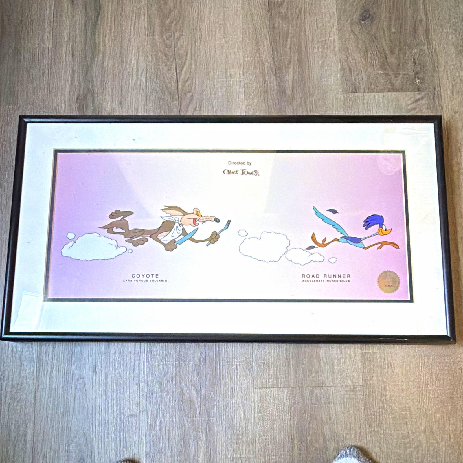 Chuck Jones Ent. Beep Beep Looney Tunes Wile E. Coyote Sericel Framed COA
