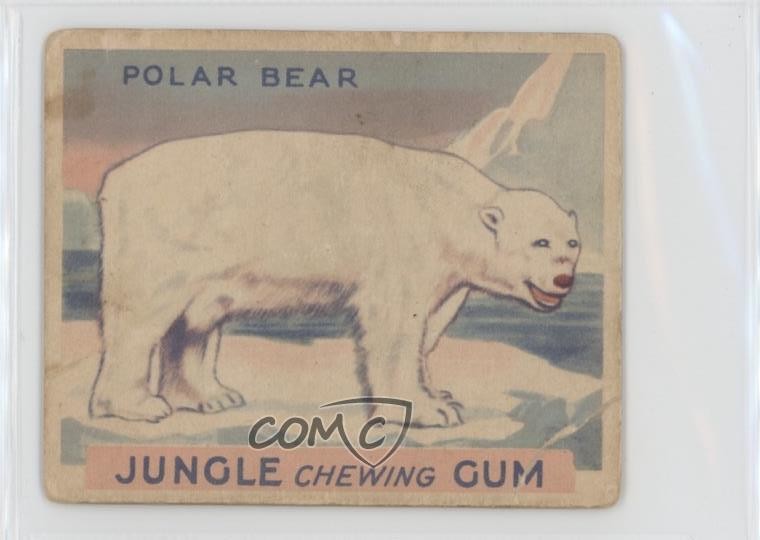 1930 World Wide Gum Jungle Gum R78 Polar Bear #45 04le