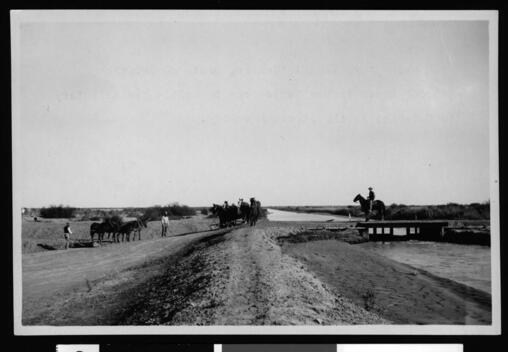 Teams of horses preparing farm land next to a river in Mexico sout - Old Photo
